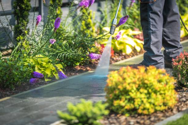 Best Boat and Dock Cleaning  in Burbank, CA
